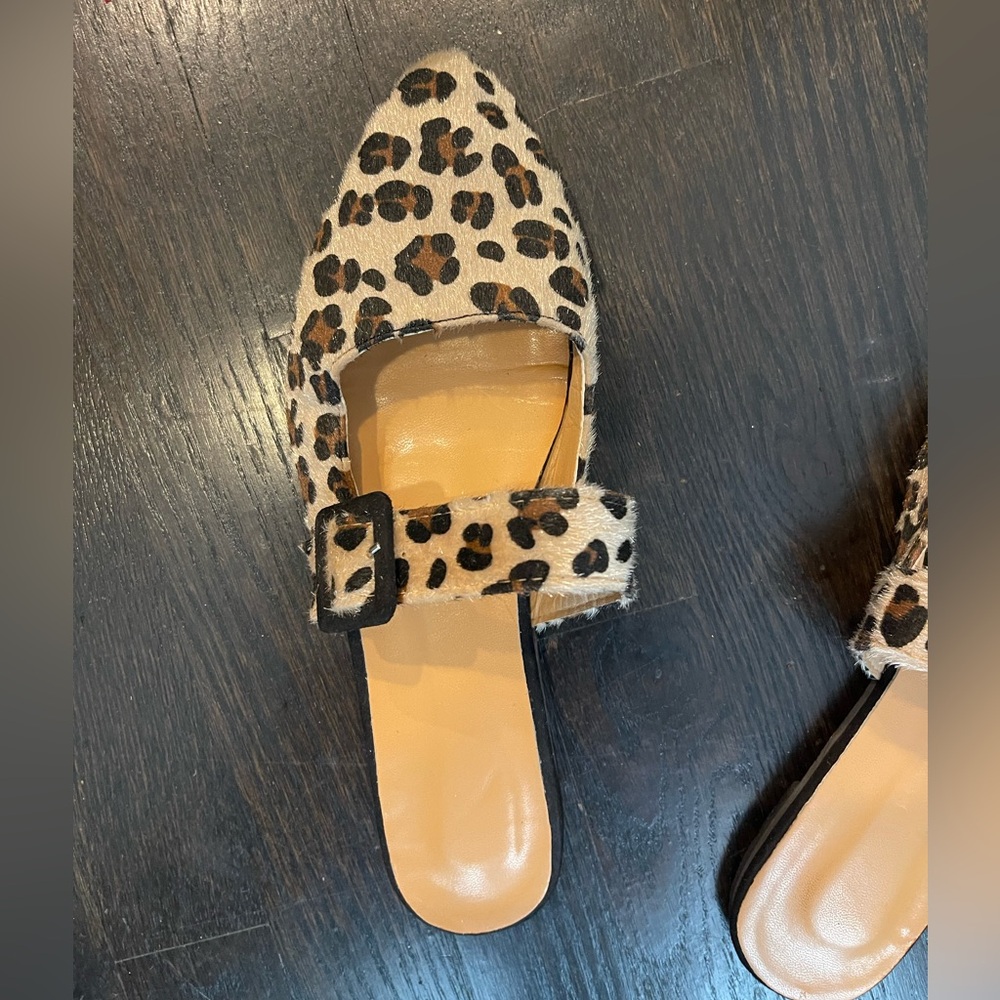 Leopard Flats - Picture 15 of 15